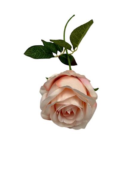 Róża gałązka 60 cm pudrowy róż