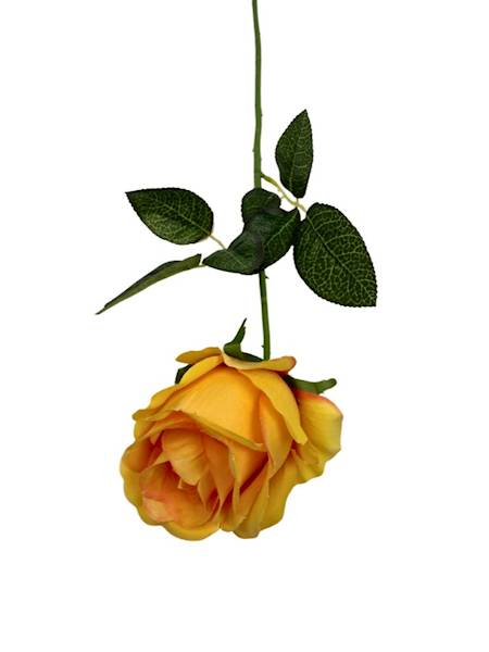 Róża gałązka 60 cm żółta