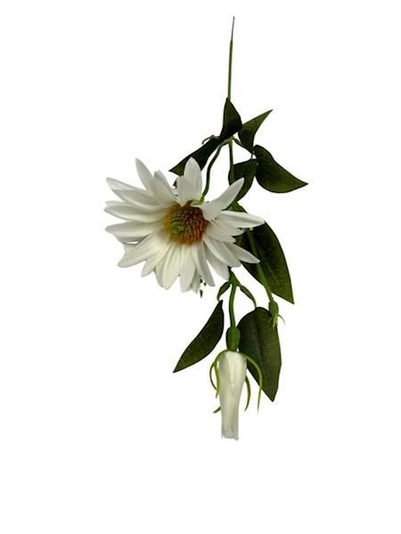 Jeżówka gałązka 56 cm biała