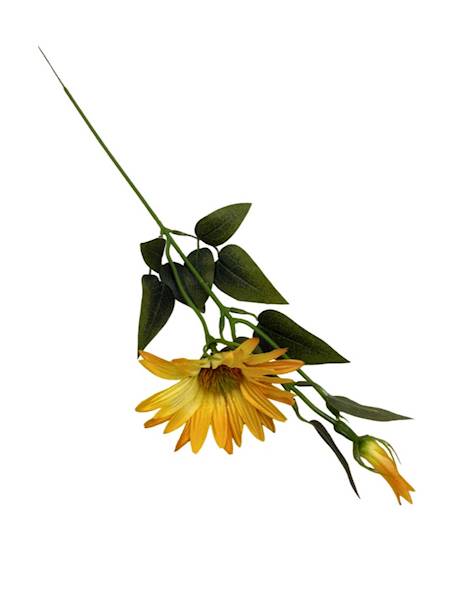 Jeżówka gałązka 56 cm żółta