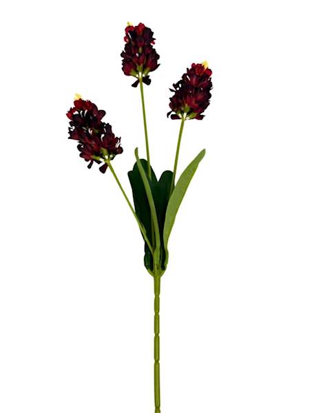 Łubin gałązka 67 cm bordo