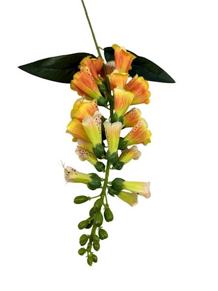 Naparstnica dzwoneczki gałązka 78 cm żółta