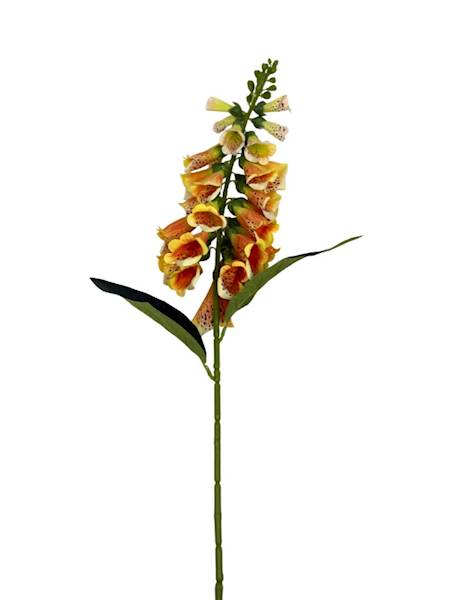 Naparstnica dzwoneczki gałązka 78 cm żółta