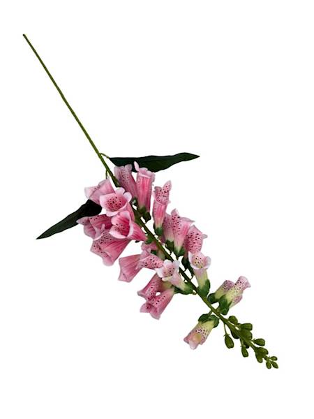 Naparstnica dzwoneczki gałązka 78 cm różowa