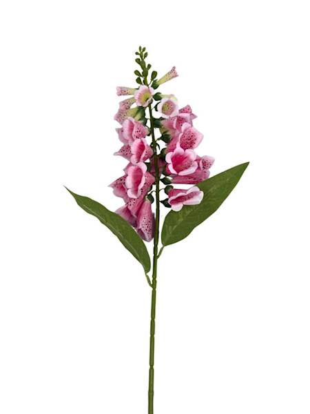 Naparstnica dzwoneczki gałązka 78 cm różowa