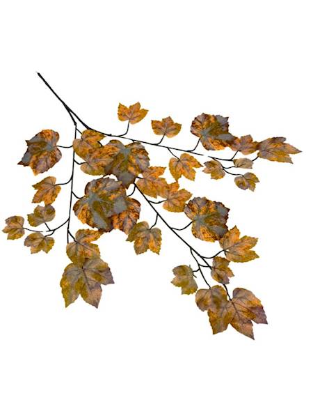 Liść winogrona XL 66 cm brąz i pomarańcz