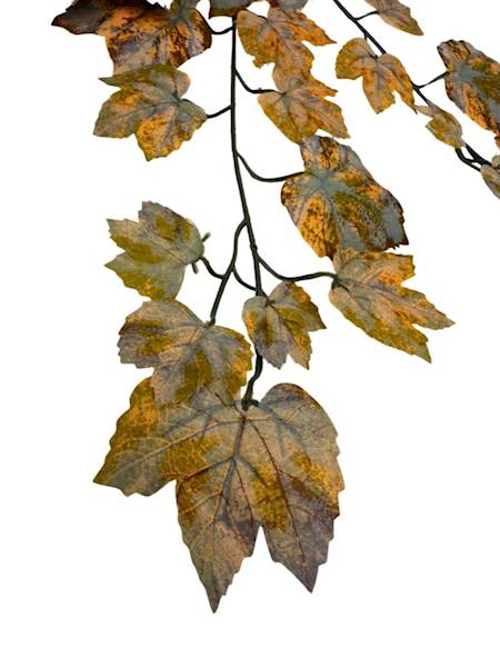 Liść winogrona XL 66 cm brąz i pomarańcz