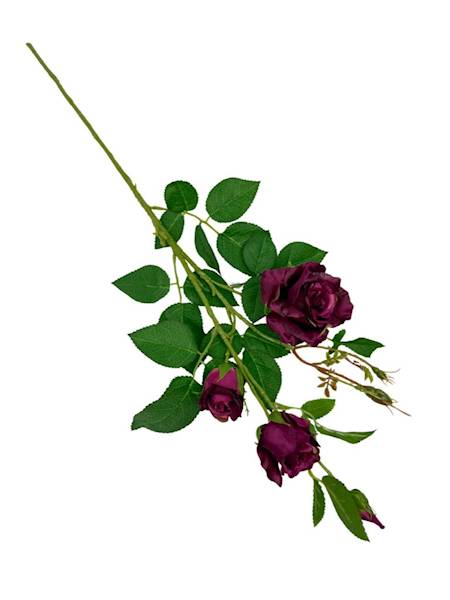 Róża gałązka 77 cm ciemna fuksja