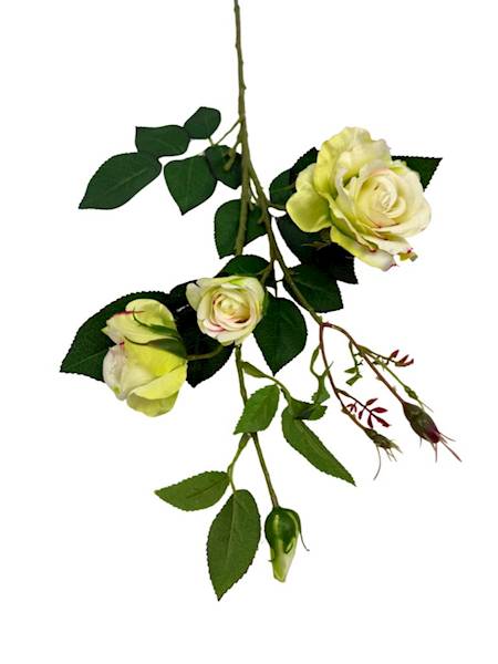 Róża gałązka 77 cm zielona