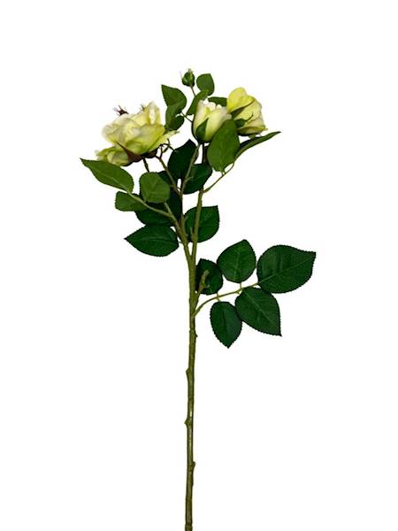 Róża gałązka 77 cm zielona