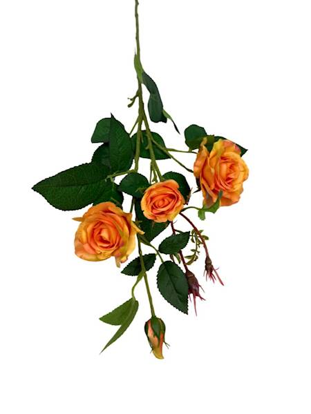 Róża gałązka 77 cm herbaciana