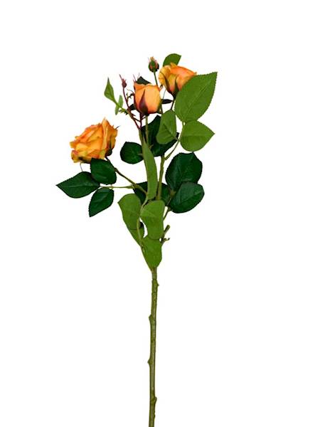 Róża gałązka 77 cm herbaciana