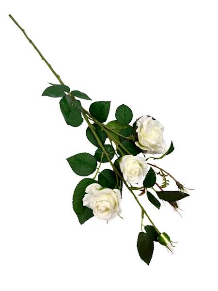 Róża gałązka 77 cm biała