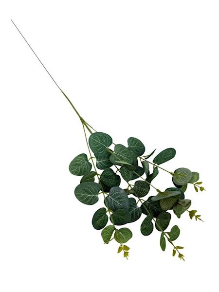 Eukaliptus gałązka 64 cm zielony