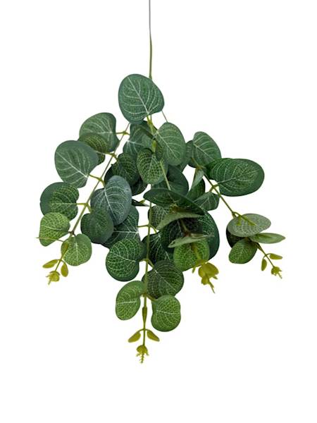Eukaliptus gałązka 64 cm zielony
