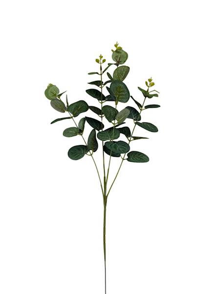 Eukaliptus gałązka 64 cm zielony