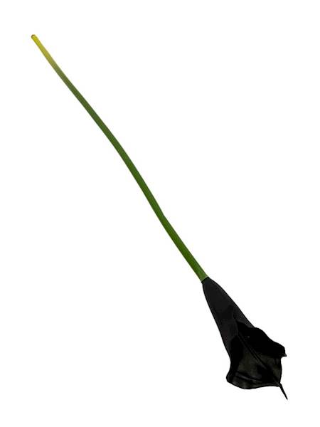 Kalia gumowa 70 cm czarna