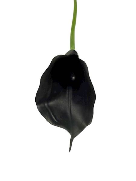 Kalia gumowa 70 cm czarna