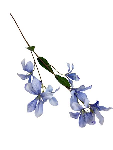 Klematis gałązka 80 cm błękit