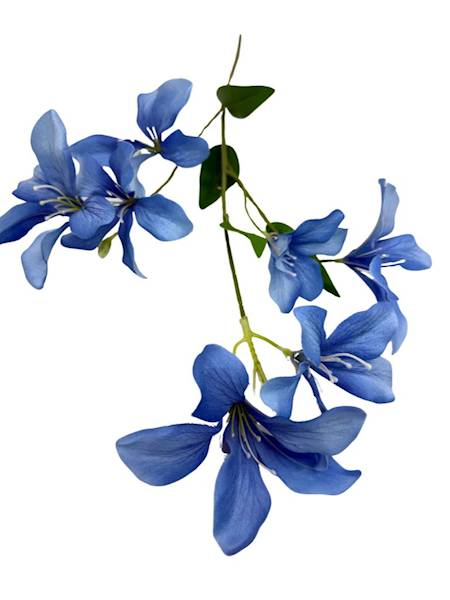 Klematis gałązka 80 cm niebieski