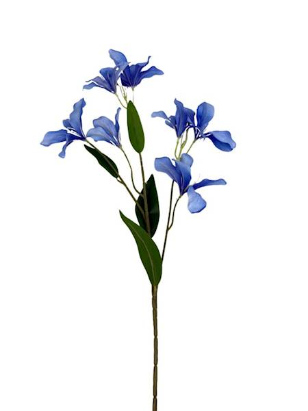 Klematis gałązka 80 cm niebieski