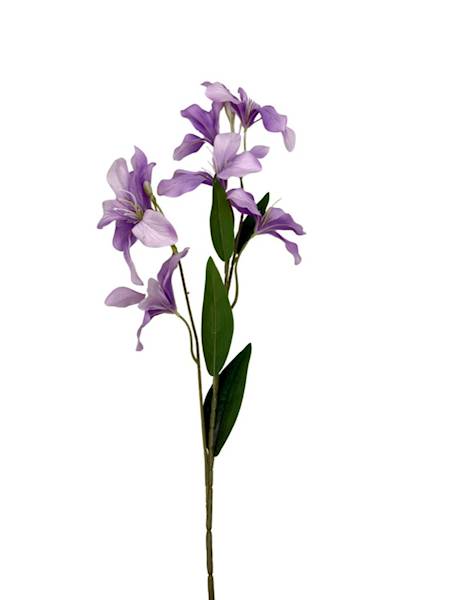 Klematis gałązka 80 cm jasny fiolet