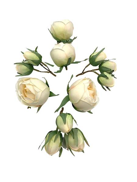 RÓŻA KOMPLET KREMOWY