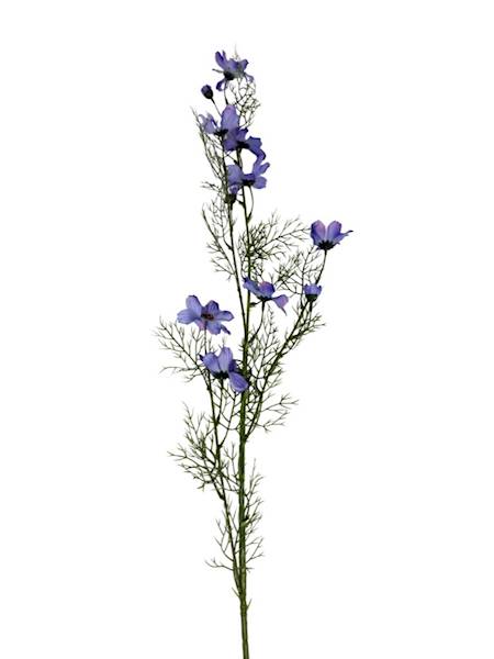 Kosmos gałązka 128 cm niebieski