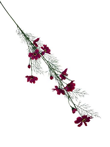 Kosmos gałązka 128 cm fuksja