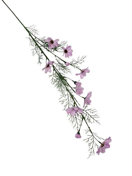 Kosmos gałązka 128 cm jasny róż