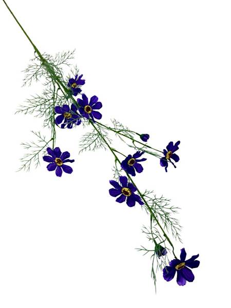 Kosmos gałązka 128 cm fiolet