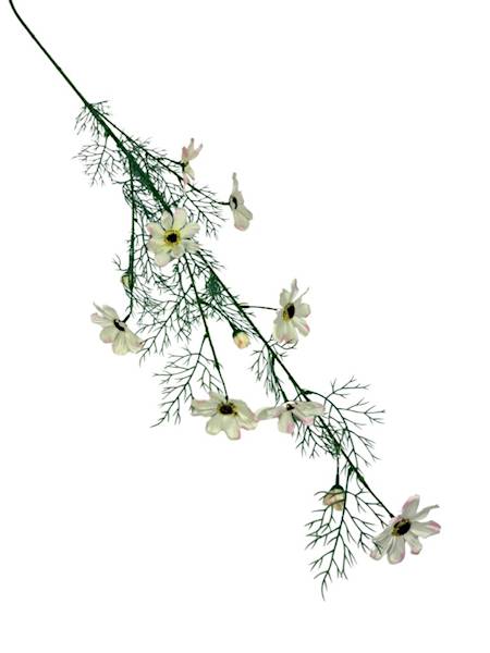 Kosmos gałązka 128 cm krem róż