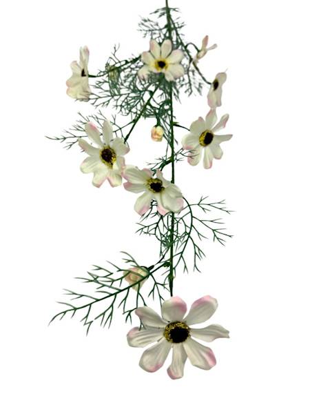 Kosmos gałązka 128 cm krem róż