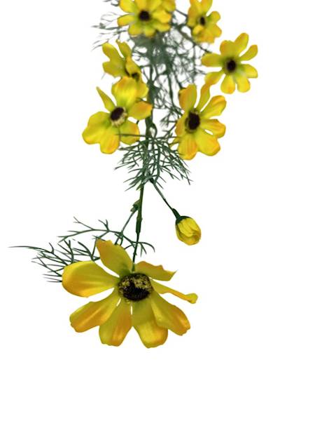 Kosmos gałązka 128 cm żółty