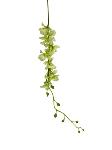 Storczyk tajlandzki 70 cm jasno zielony