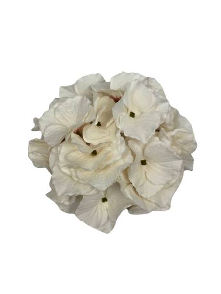 Hortensja główka 18 cm kremowa