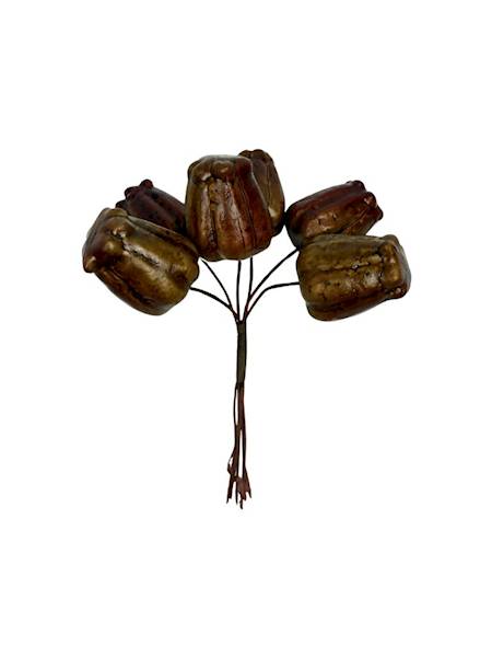 Pik owoce oliwkowo brązowe