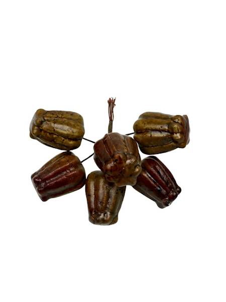 Pik owoce oliwkowo brązowe