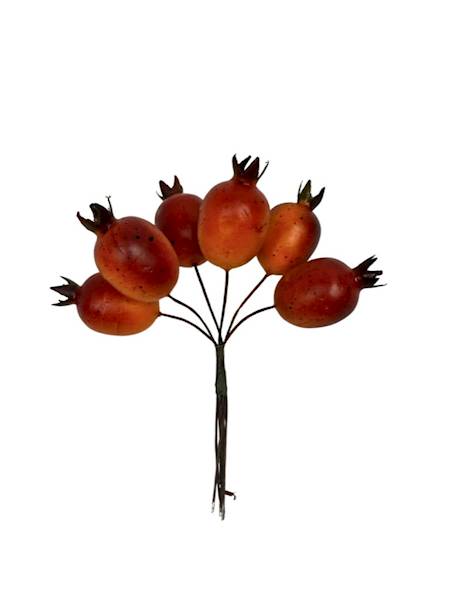 Pik owoce dzika róża