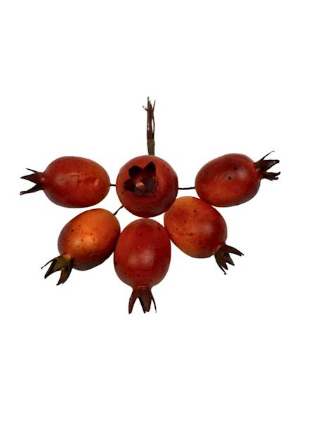 Pik owoce dzika róża