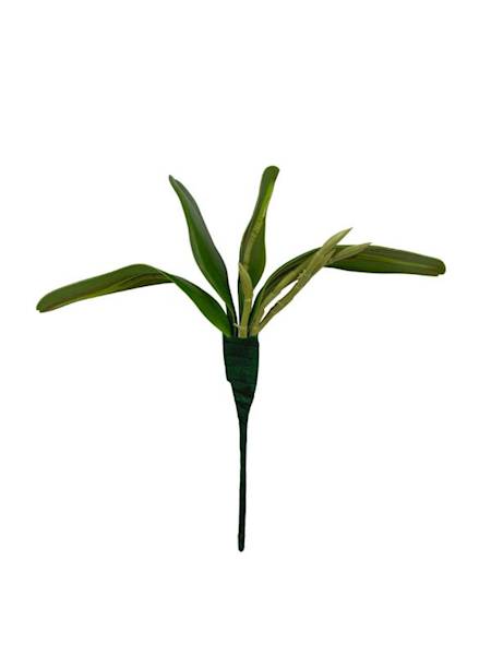 Liść do storczyka 23 cm zielony