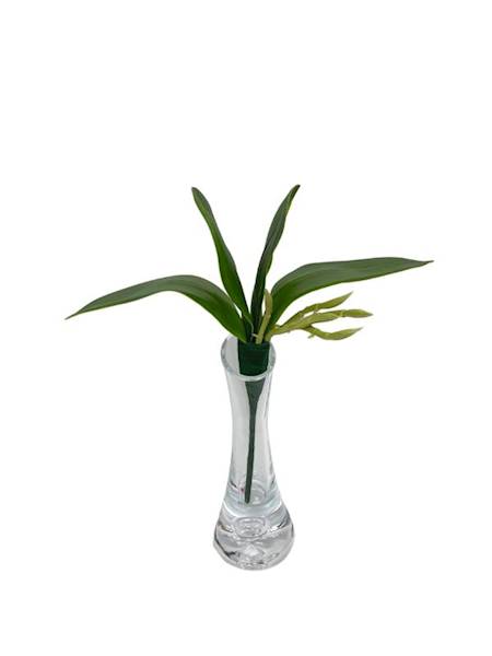 Liść do storczyka 23 cm zielony