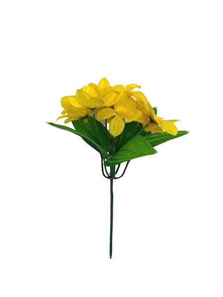 Żonkil mini bukiet 20 cm żółty