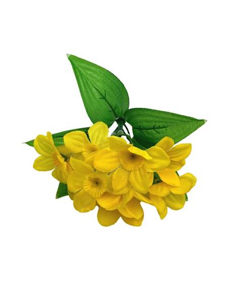 Żonkil mini bukiet 20 cm żółty