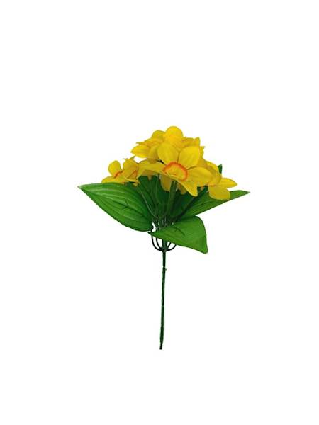 Żonkil mini bukiet 20 cm żółty z pomarańczowym