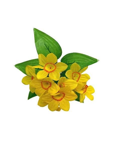 Żonkil mini bukiet 20 cm żółty z pomarańczowym