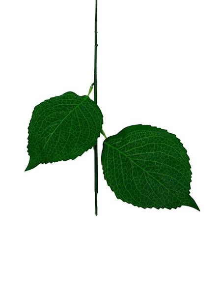 Łodyga 73 cm zielona