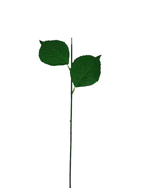 Łodyga 73 cm zielona