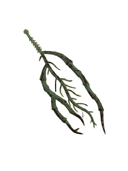 Korzonek do storczyka 12 cm zielony