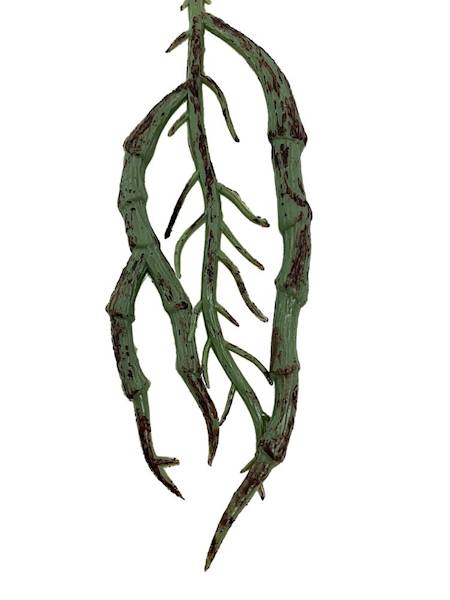 Korzonek do storczyka 12 cm zielony